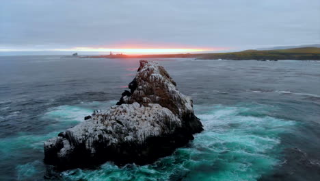 Monolithic-bird-rookery-rock,-covered-in-white-guano,-drone-pulls-back,-sunset-in-Pacific-Ocean,-Central-California-Coast-with-Piedras-Blancas-Lighthouse-in-distance,-crashing-waves,-4k-Pro-Res-422HQ