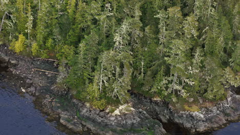 Ruhe-Der-Natur:-Die-Küstenwildnis-Von-Port-Hardy