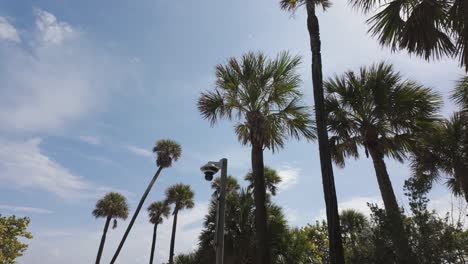 Los-Ciclistas-Disfrutan-De-Un-Día-Soleado-En-Un-Sendero-Bordeado-De-Palmeras-Que-Conduce-A-Una-Playa-De-Arena-En-Miami.