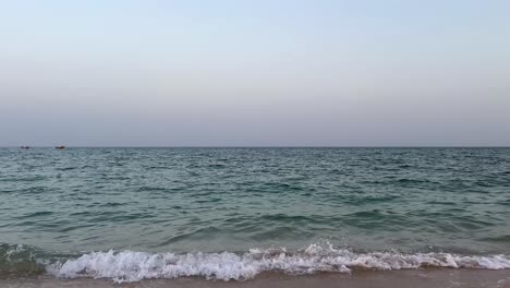 hawksbill-turtle-Calm-relax-beach-landscape-hazy-day-horizon-sea-line-skyline-scenic-landscape-of-empty-view-to-sea-from-the-sand-beach-early-morning-sunrise-turtle-head-swimming-shallow-water-iran