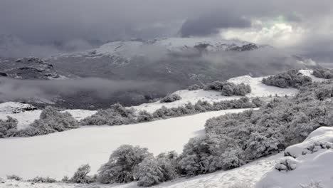 Impresionante-Paisaje-Invernal-Del-Sur-De-La-Patagonia-Con-árboles-Y-Montañas-Cubiertos-De-Nieve-Y-Un-Cielo-Nublado,-En-Argentina