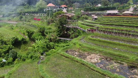 Parque-Agroturístico-Maha-Gangga-En-Bali,-Plataforma-Rodante-Baja-Para-Drones-En