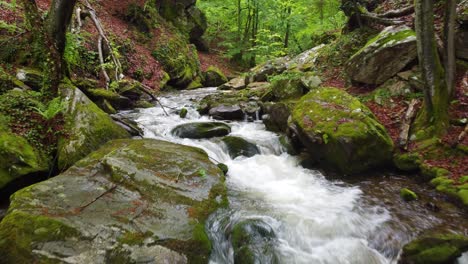 Calm-peaceful-fast-flowing-river-water-cascades-along-moss-covered-rocks-in-forest-of-Bistriski-Vintgar-Slovenia