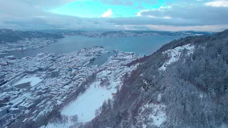 Luftaufnahme-über-Berge-Und-Bäume-In-Bergen,-Norwegen