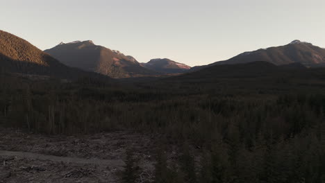 Nord-Vancouver-Insel:-Blick-Auf-Den-Regenwald-Des-Nimpkish-Mountain