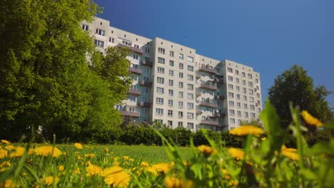 La-Toma-Fija-Captura-Un-Edificio-De-Apartamentos-Khrushchevka-En-Riga-Con-Flores-Amarillas-En-Un-Campo-De-Hierba-Durante-La-Primavera,-Combinando-La-Vida-Urbana-Con-La-Belleza-Natural.