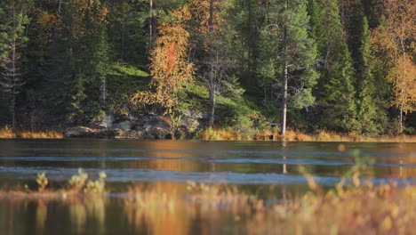 Die-Bezaubernde-Schönheit-Eines-Farbenfrohen-Herbstwaldes,-Die-Sich-Mit-Makelloser-Klarheit-Auf-Der-Spiegelglatten-Oberfläche-Eines-Ruhigen-Sees-Spiegelt