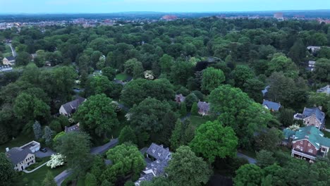 Große-Einfamilienhäuser-Im-Grünen-Viertel-Der-Amerikanischen-Stadt