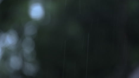 Rain-shower-close-up-view-of-drops