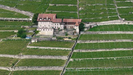 Slow-Trucking-Shot-of-Vineyards-and-Farmhouse-in-Swiss-Hills