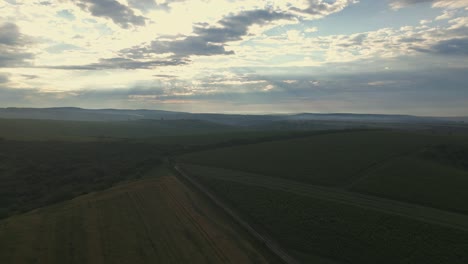 Tranquil-landscape-at-dusk-with-a-winding-road-cutting-through-rolling-hills-fields-and-vineyards,-in-serene-and-expansive-outdoor-setting