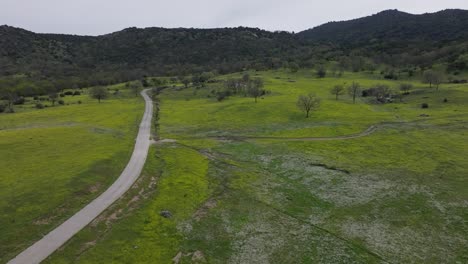 Vuelo-Ascendente-Con-Un-Dron-A-Alta-Velocidad-En-Un-Camino-Rural-Con-Prados-Llenos-De-Flores-Silvestres-Amarillas-Y-Blancas,-Hay-Montañas-Al-Fondo-Y-Un-Cielo-Blanquecino-En-La-Provincia-De-Ávila,-España