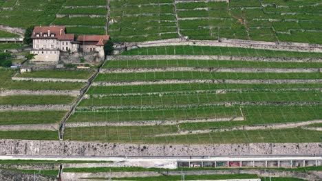 Slow-Tracking-Shot-of-Vineyards-and-Freeway-in-Swiss-Countryside