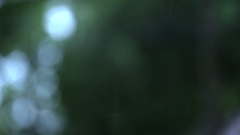 Rain-shower-close-up-view-of-drops