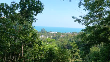 Vistas-Panorámicas-Desde-Un-Teleférico-Que-Atraviesa-Un-Frondoso-Bosque-En-Koh-Samui,-Con-Destellos-Del-Océano-En-La-Distancia.