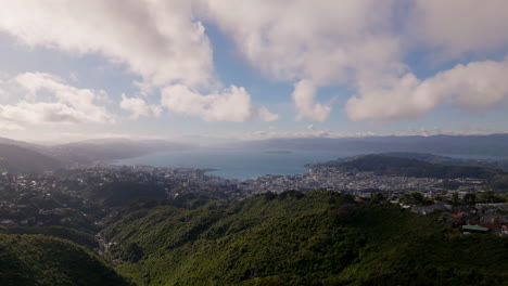 Toma-Aérea-Del-Puerto-De-La-Ciudad-De-Wellington-En-Nueva-Zelanda