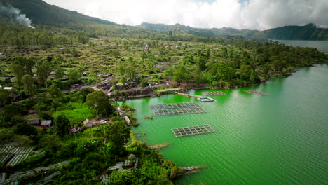 Green-polluted-water-of-Lake-Batur-and-aquaculture-fish-farming-near-edge,-drone