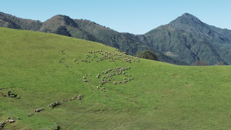 Spectacular-landscape-of-mountains-in-the-Yungas-ecoregion,-Argentina,-Tucuman,-Tafí-del-Valle