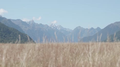 Detail-of-ountain-peaks-in-distance-on-a-sunny-day-in-Eglinton-Valley,-Fiordland,-New-Zealand