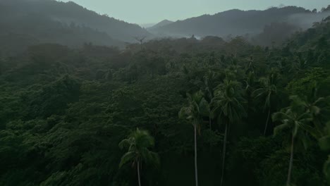 Hilly-green-Phlippines-forest-landscape-on-misty-day,-forward-aerial