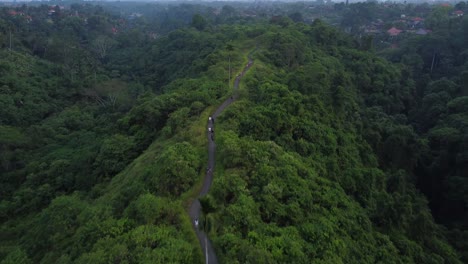 Aerial-footage-of-people-walking-along-the-scenic-Campuhan-Ridgewalk-during-sunset-in-Ubud,-Bali,-Indonesia