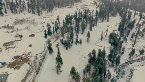 Imágenes-De-Drones-Hacia-Atrás-De-Una-Montaña-Y-El-árbol-Cubierto-De-Nieve-En-Invierno-En-El-Norte-De-Pakistán,-Valle-De-Naltar,-Gilgit-Con-Casa-Roja