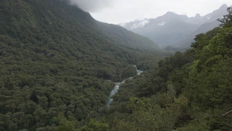 River-running-down-a-valley-in-between-forests-and-mountains-in-Fiordland,-New-Zealand