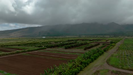 Paralaje-Aéreo-Sobre-Una-Granja-De-Energía-Renovable-En-Maui