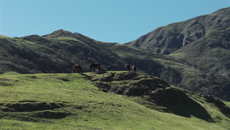 Filmische-Luftaufnahme-Einer-Berglandschaft-Mit-Grasenden-Wildpferden-Auf-Dem-Gipfel