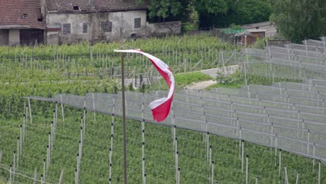 Die-Südtiroler-Fahne-Steht-In-Einem-Apfelgarten-Und-Wird-Vom-Wind-Hin-Und-Her-Geweht