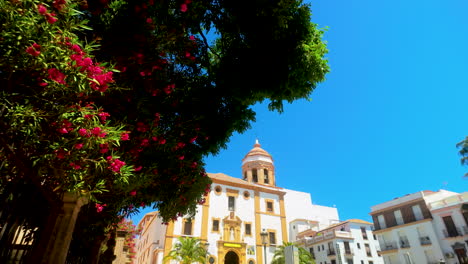 Kirche-Unserer-Lieben-Frau-Der-Barmherzigkeit---Fassade-Mit-Einer-Kuppel,-Die-Durch-üppige-Grüne-Bäume-Und-Leuchtende-Blumen-In-Ronda,-Spanien-Ragt