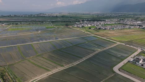 Dali's-serene-paddy-fields-captured-from-above,-revealing-a-stunning-patchwork-of-emerald-and-blue