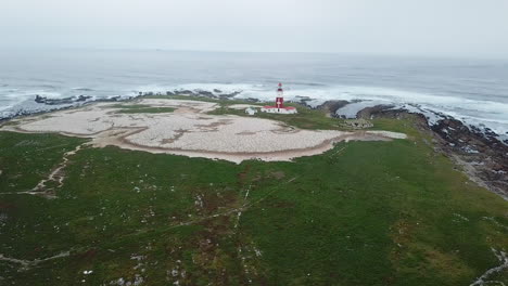 Bird-Island-in-Algoa-Bay,-South-Africa-and-thousands-of-Cape-Gannet-seabirds-during-nesting-season