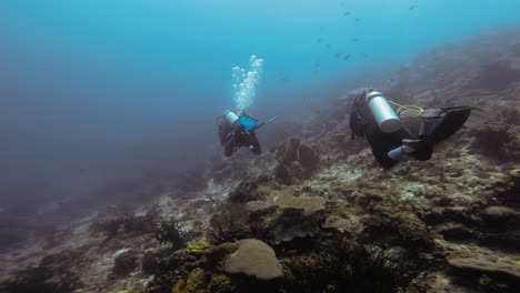 Two-scuba-divers-explore-a-coral-reef-in-Raja-Ampat,-Indonesia,-swimming-side-by-side