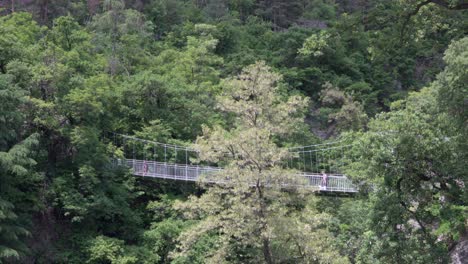 Menschen-überqueren-Eine-Kurze-Hängebrücke,-Die-Von-Wald-Umgeben-Ist