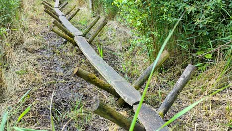 Close-up-view-of-Sweet-Track-Neolithic-wooden-trackway-path-winding-through-wetland-peat-land-of-the-Somerset-Levels-in-England-UK