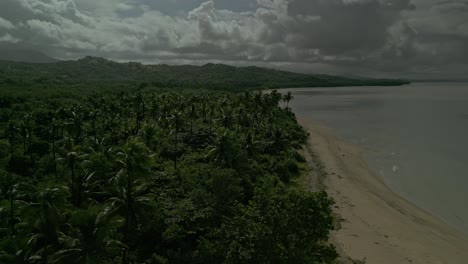 Aerial-pan-of-palm-trees-and-sand-beach-by-ocean-in-Philippines,-cloudy-weather