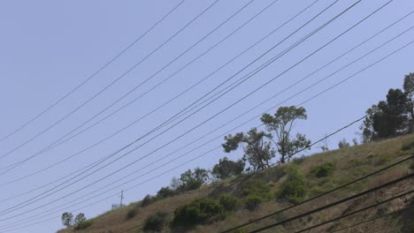 LA-County-Fire-Department-Camp-Crews