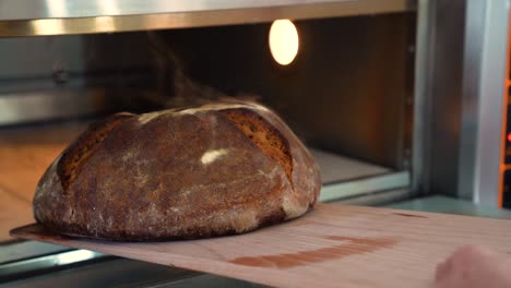 Freshly-baked-bread-is-being-taken-out-of-a-hot-oven