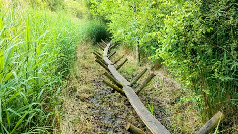 Slow-pan-up-of-ancient-Neolithic-wooden-Sweet-Track-path-over-peat-marshland-environment-of-the-Somerset-Levels-in-England-UK