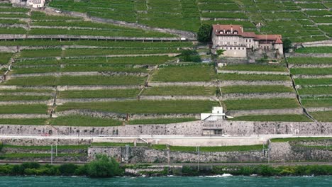 Slow-Tracking-Shot-of-Vineyards-and-Freeway-Near-Lake-Geneva,-Switzerland