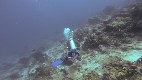 Ein-Taucher-Schwimmt-über-Einem-Korallenriff-In-Raja-Ampat,-Indonesien-Und-Erkundet-Die-Unterwasserlandschaft