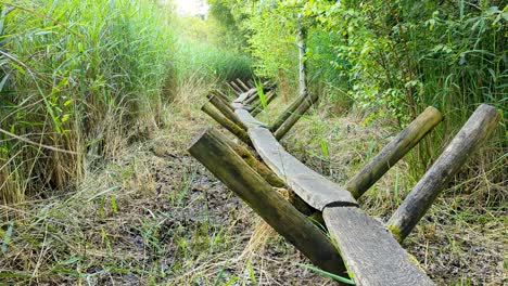 Scenic-view-of-the-Neolithic-Sweet-Track-wooden-pathway-through-peat-land-wetland-environment-of-Shapwick-Heath-on-Somerset-Levels-in-England-UK