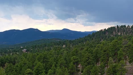 Drone-slow-ascends-above-evergreen-forest-tree-stand-in-Colorado