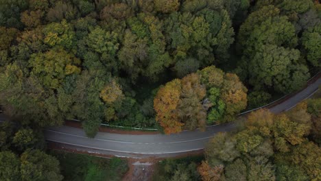 Eine-Luftaufnahme-Einer-Kurvenreichen-Straße,-Die-Durch-Einen-Dichten-Wald-Führt