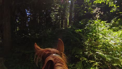 POV-of-Riding-a-horse-in-the-forest-in-Georgia,-green-forest