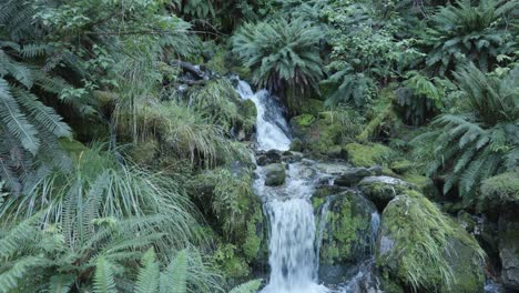 Small-stream-running-down-in-between-moss-covered-rocks-and-ferns-in-Rees-Dart-track,-New-Zealand