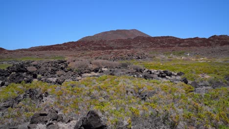 Semi-desert-coastal-ecosystem-with-volcano-on-the-background-in-Isla-Coronado,-Loreto,-Baja-California-Sur