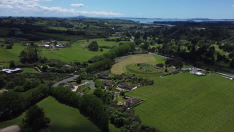 Vista-De-Drone-Del-Paisaje-En-Withford,-Acukland,-Nueva-Zelanda