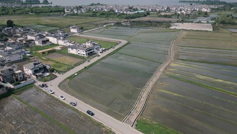 Aerial-perspective-of-Dali,-Yunnan's-paddy-fields,-with-farmers-tending-to-their-crops-in-a-picturesque-setting